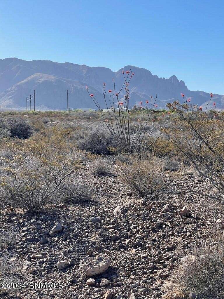 10.5 Acres of Land for Sale in Las Cruces, New Mexico