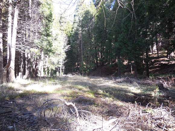 35.6 Acres of Recreational Land for Sale in Blue Jay, California