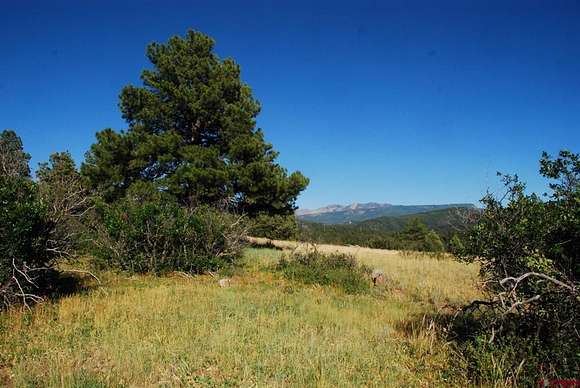 7.5 Acres of Residential Land for Sale in Pagosa Springs, Colorado