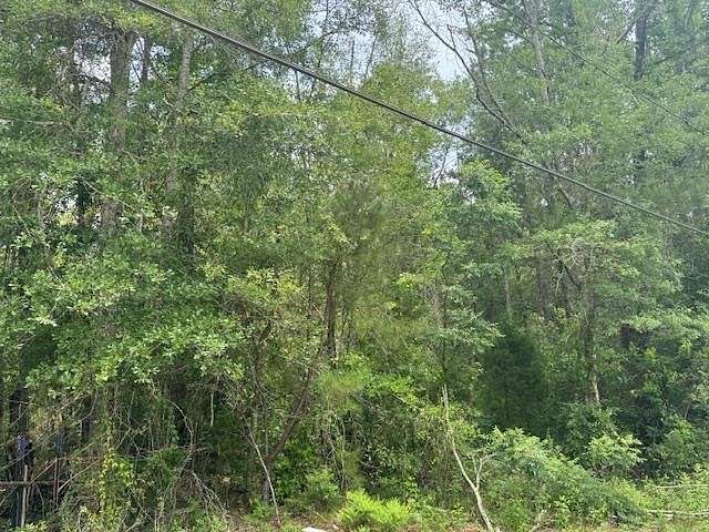 1 Acre of Residential Land for Sale in Kirbyville, Texas