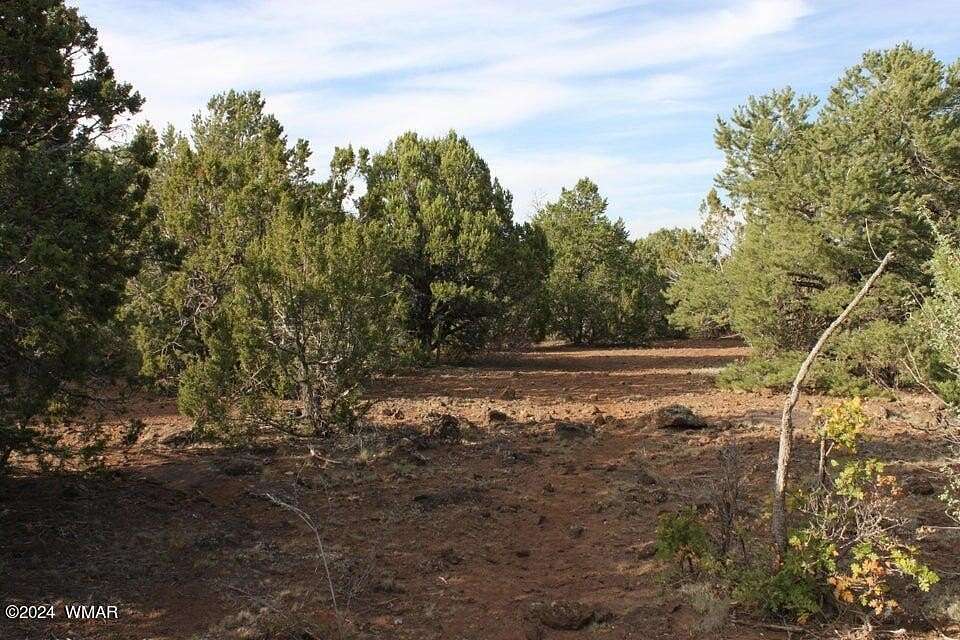 16.89 Acres of Land for Sale in Vernon, Arizona