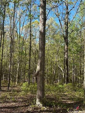 20.4 Acres of Recreational Land for Sale in Hull, Georgia