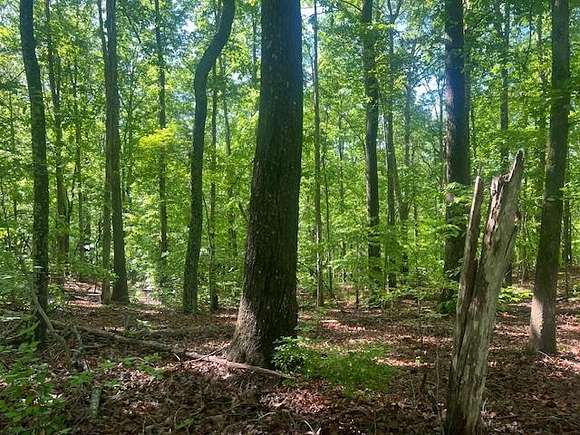 4.3 Acres of Land for Sale in Drakes Branch, Virginia