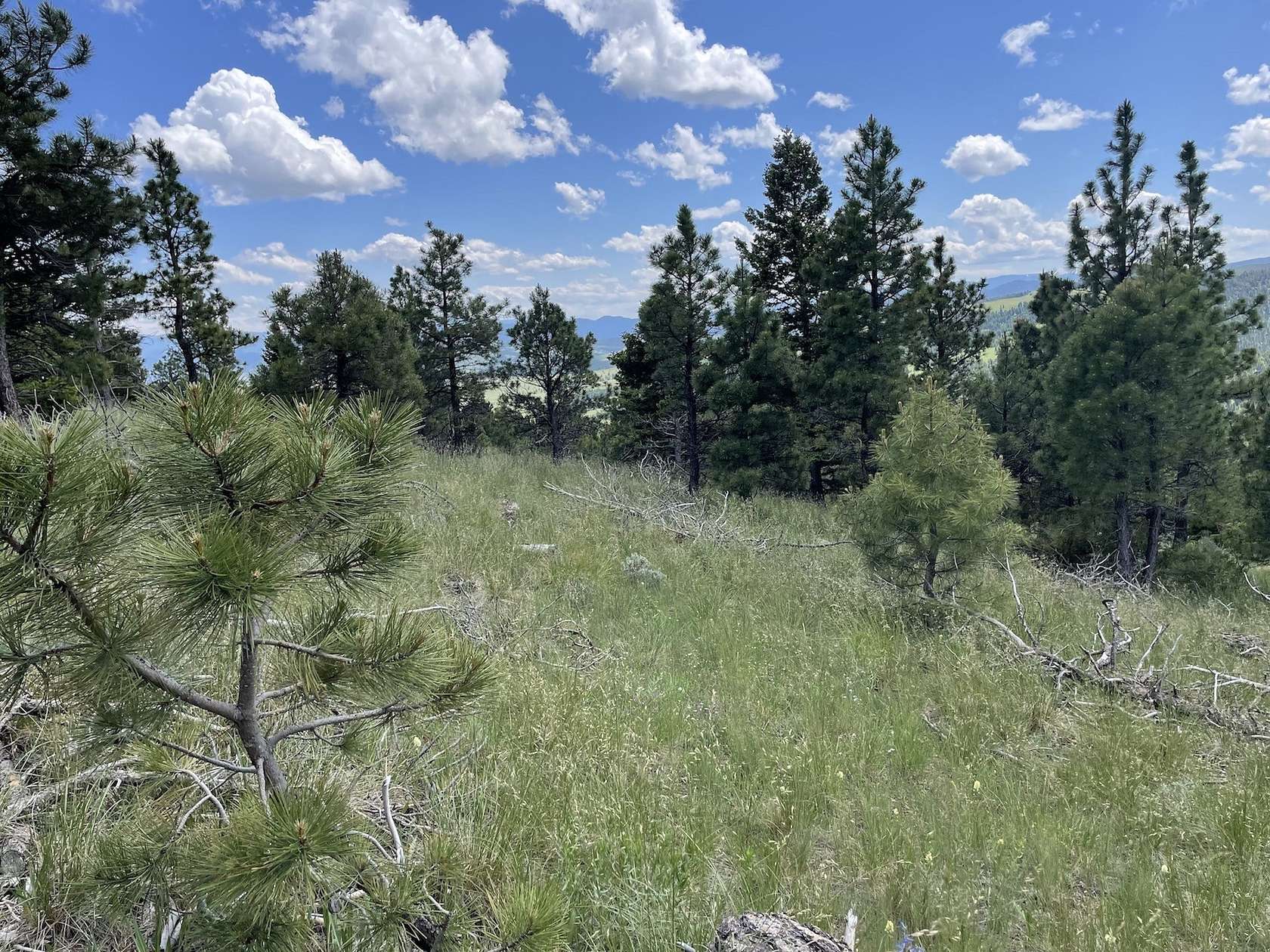 21 Acres of Land for Sale in Helena, Montana