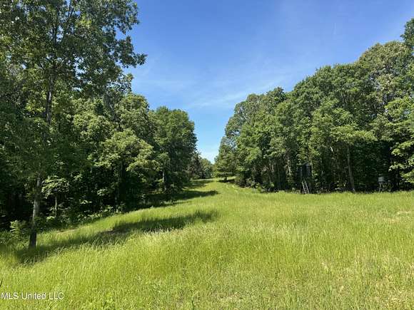 155 Acres of Recreational Land for Sale in Redwood, Mississippi