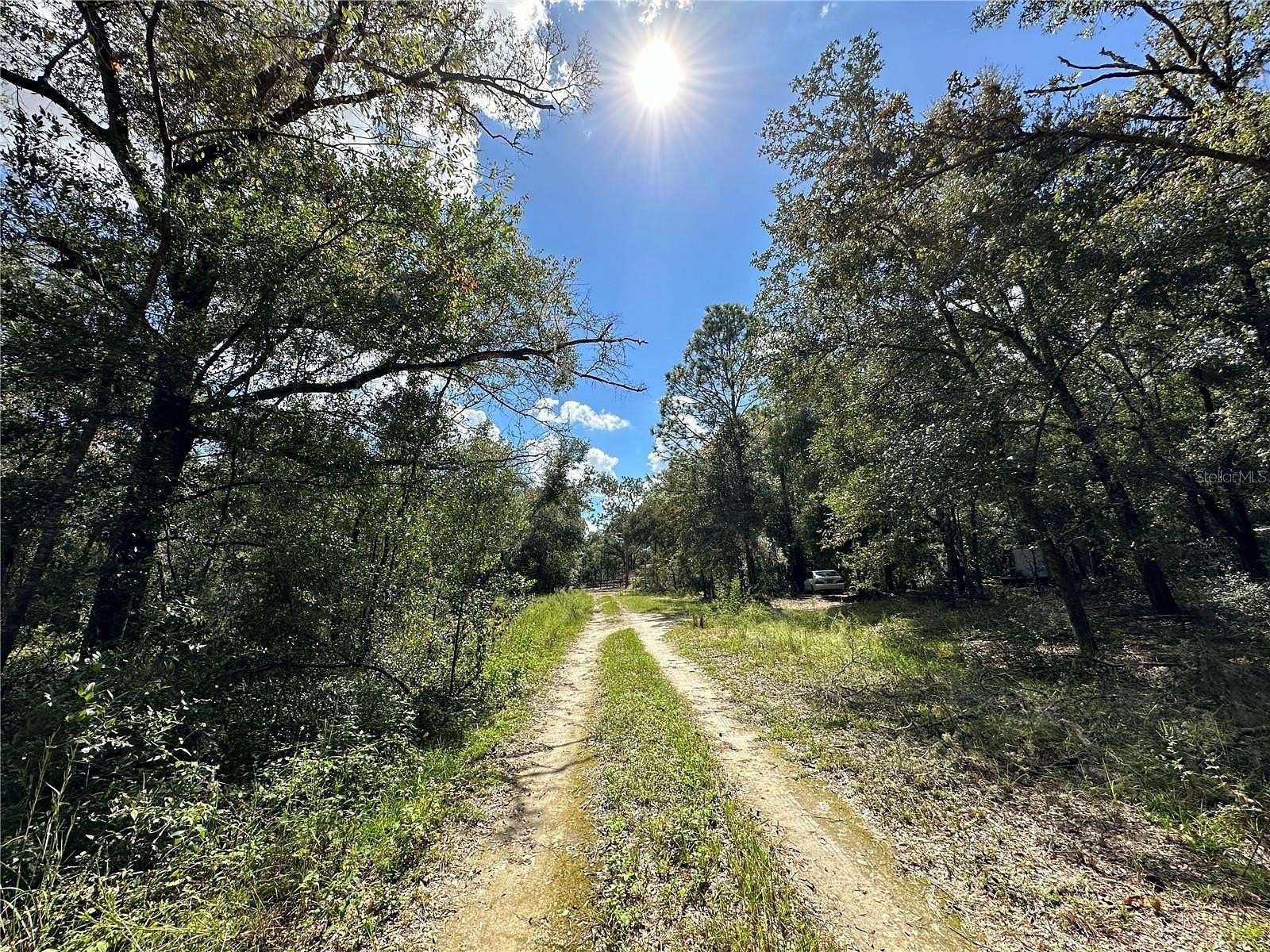 0.23 Acres of Land for Sale in Williston, Florida