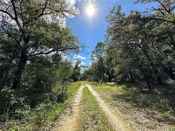 0.23 Acres of Land for Sale in Williston, Florida
