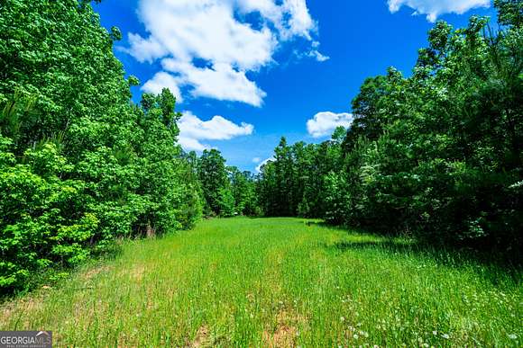 135 Acres of Land for Sale in LaGrange, Georgia