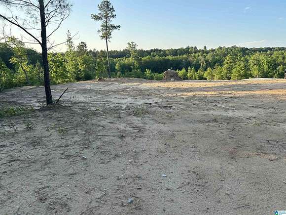 20 Acres of Land for Sale in Thorsby, Alabama