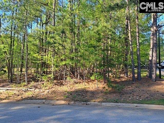 0.41 Acres of Residential Land for Sale in Chapin, South Carolina