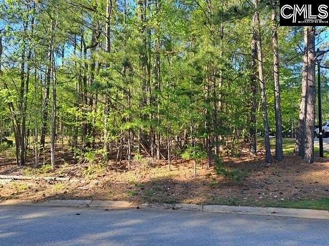 0.41 Acres of Residential Land for Sale in Chapin, South Carolina