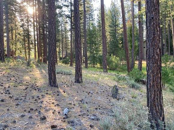 0.53 Acres of Residential Land for Sale in Clio, California