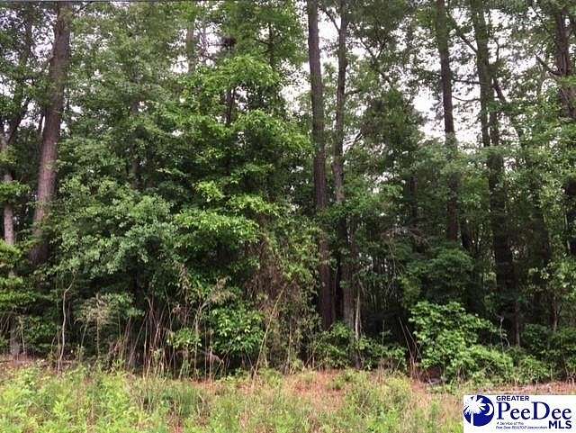 0.87 Acres of Residential Land for Sale in Hartsville, South Carolina