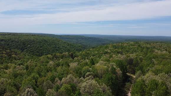 9.4 Acres of Land for Sale in Palmer, Tennessee
