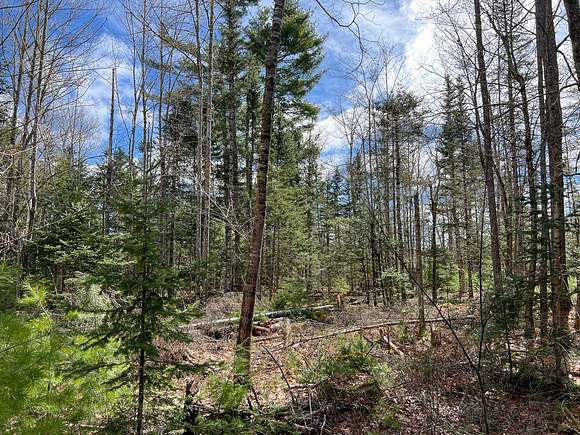 Land For Sale In Orland Maine