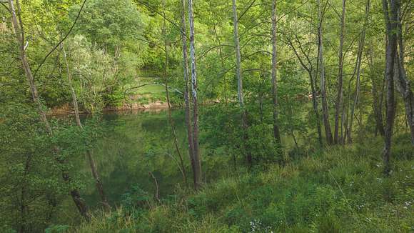 5.2 Acres of Land for Sale in Eidson, Tennessee
