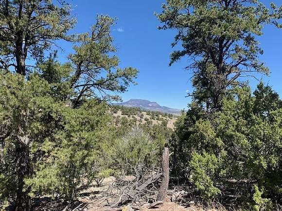 6.3 Acres of Residential Land for Sale in Datil, New Mexico