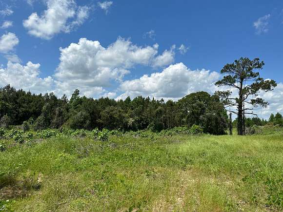 28 Acres of Land for Sale in Haleyville, Alabama