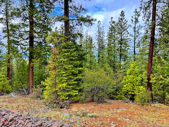 1 Acre of Residential Land for Sale in Alturas, California