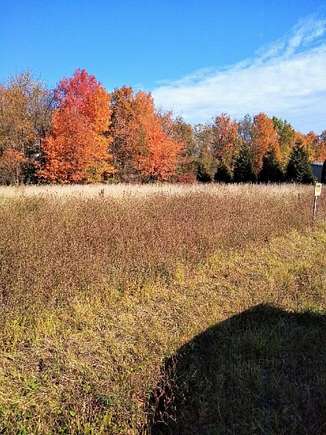 4.9 Acres of Land for Sale in Leicester, New York