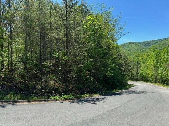 30.1 Acres of Land for Sale in Sevierville, Tennessee