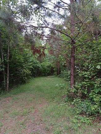 7.5 Acres of Land for Sale in Ellijay, Georgia