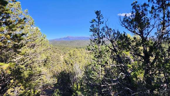 5.03 Acres of Residential Land for Sale in Trinidad, Colorado