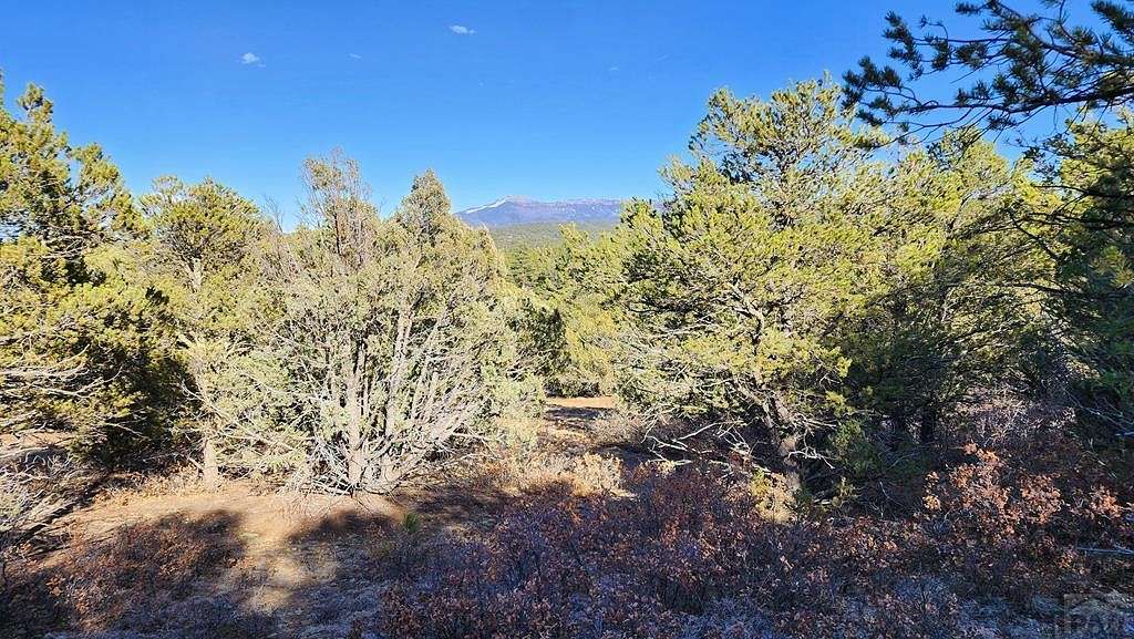 5.04 Acres of Residential Land for Sale in Trinidad, Colorado