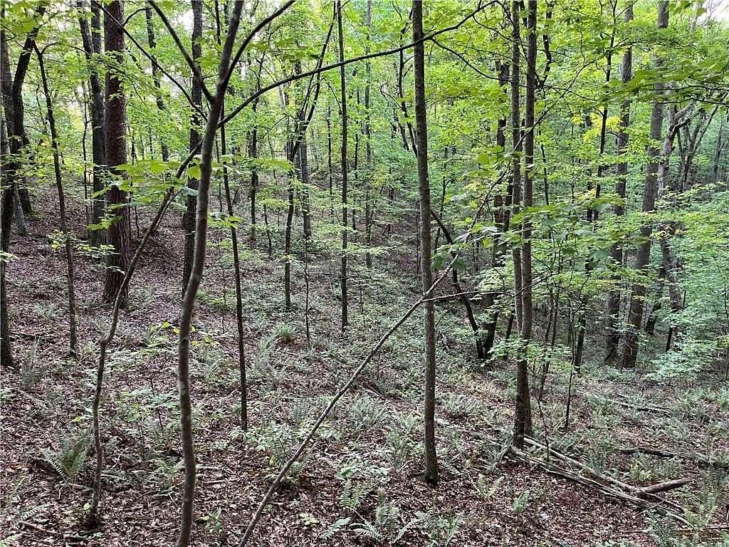 1 Acre of Residential Land for Sale in Talking Rock, Georgia