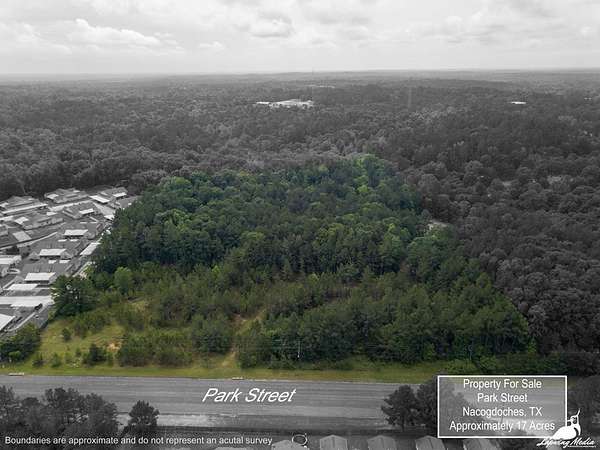 17 Acres of Land for Sale in Nacogdoches, Texas