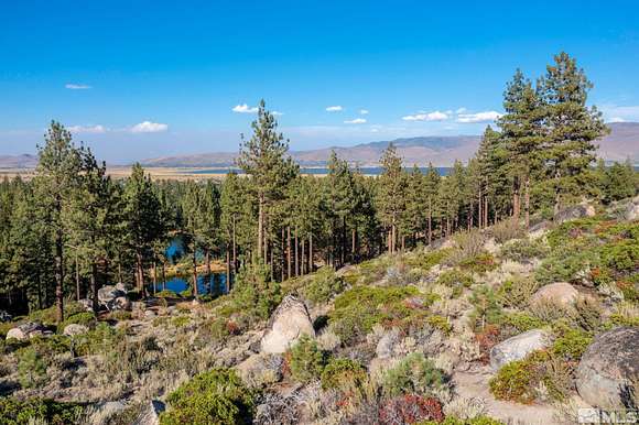 11.3 Acres of Land for Sale in Washoe Valley, Nevada