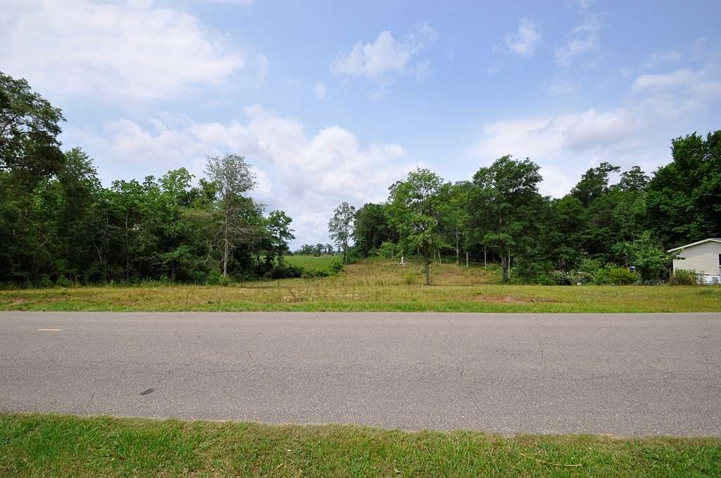 1.4 Acres of Residential Land for Sale in Carriere, Mississippi