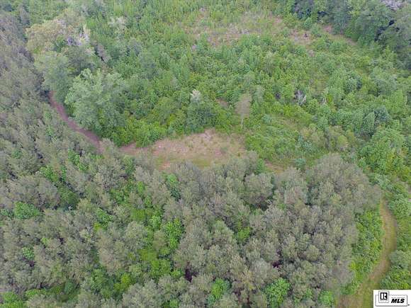 67.7 Acres of Recreational Land for Sale in Bernice, Louisiana