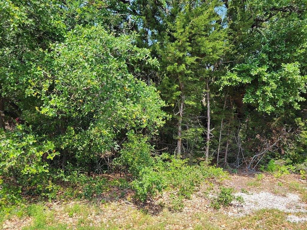 0.35 Acres of Residential Land for Sale in Granbury, Texas