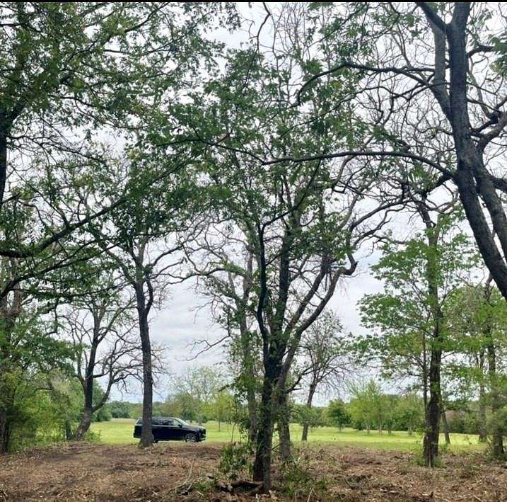 28 Acres of Land for Sale in Oak Point, Texas