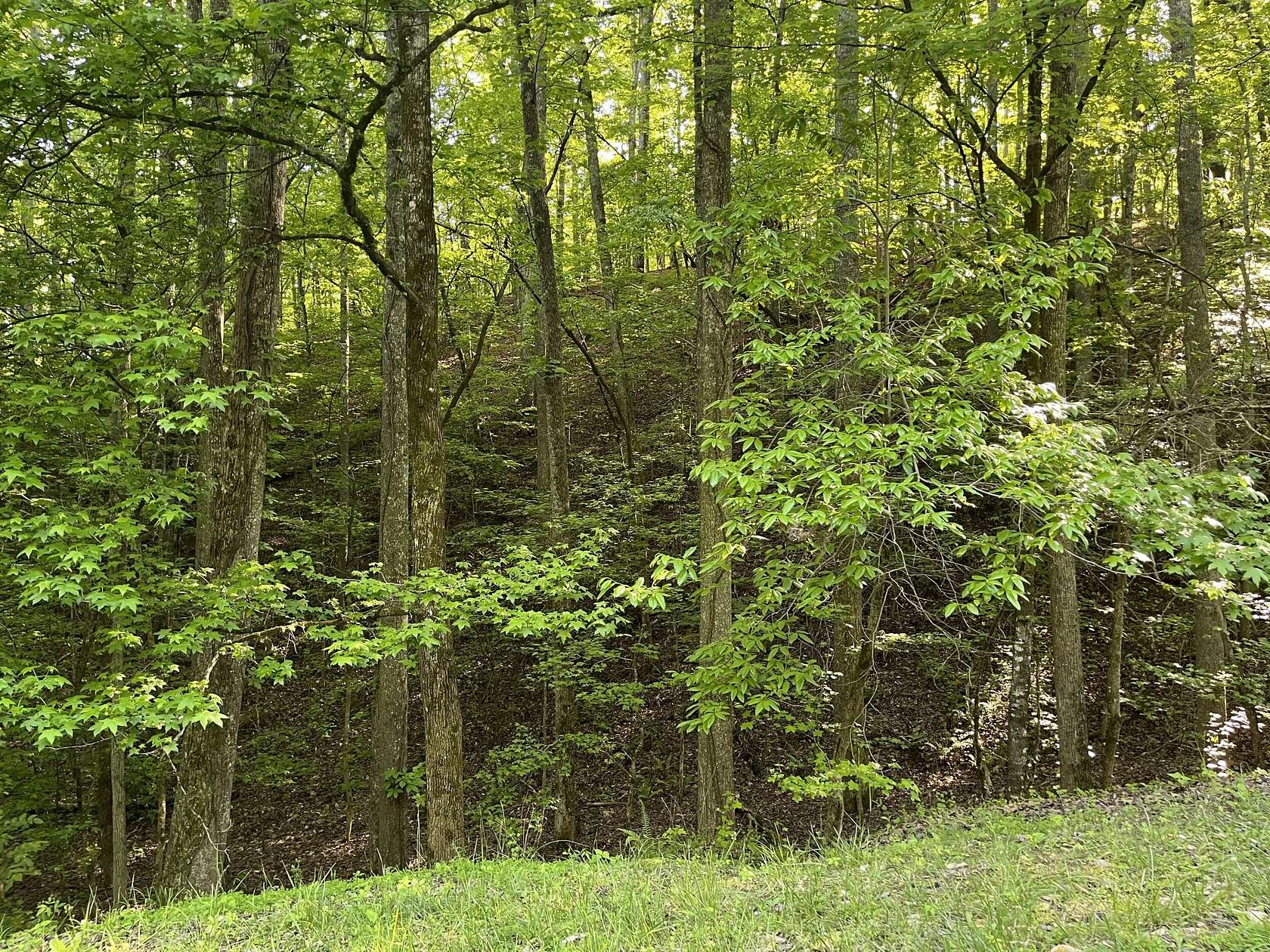 1.7 Acres of Land for Sale in Spring City, Tennessee