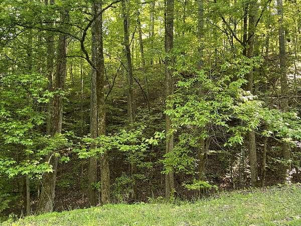 1.7 Acres of Land for Sale in Spring City, Tennessee