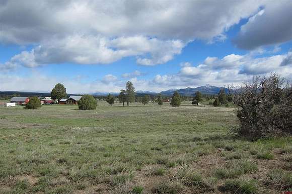15 Acres of Land for Sale in Pagosa Springs, Colorado