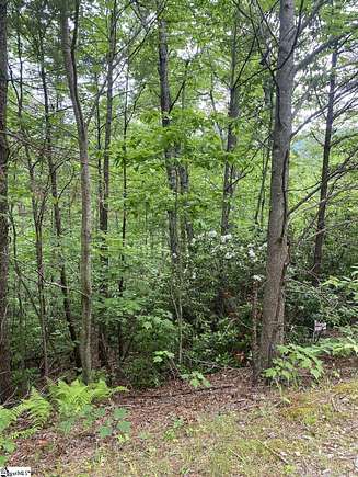 1.2 Acres of Residential Land for Sale in Travelers Rest, South Carolina