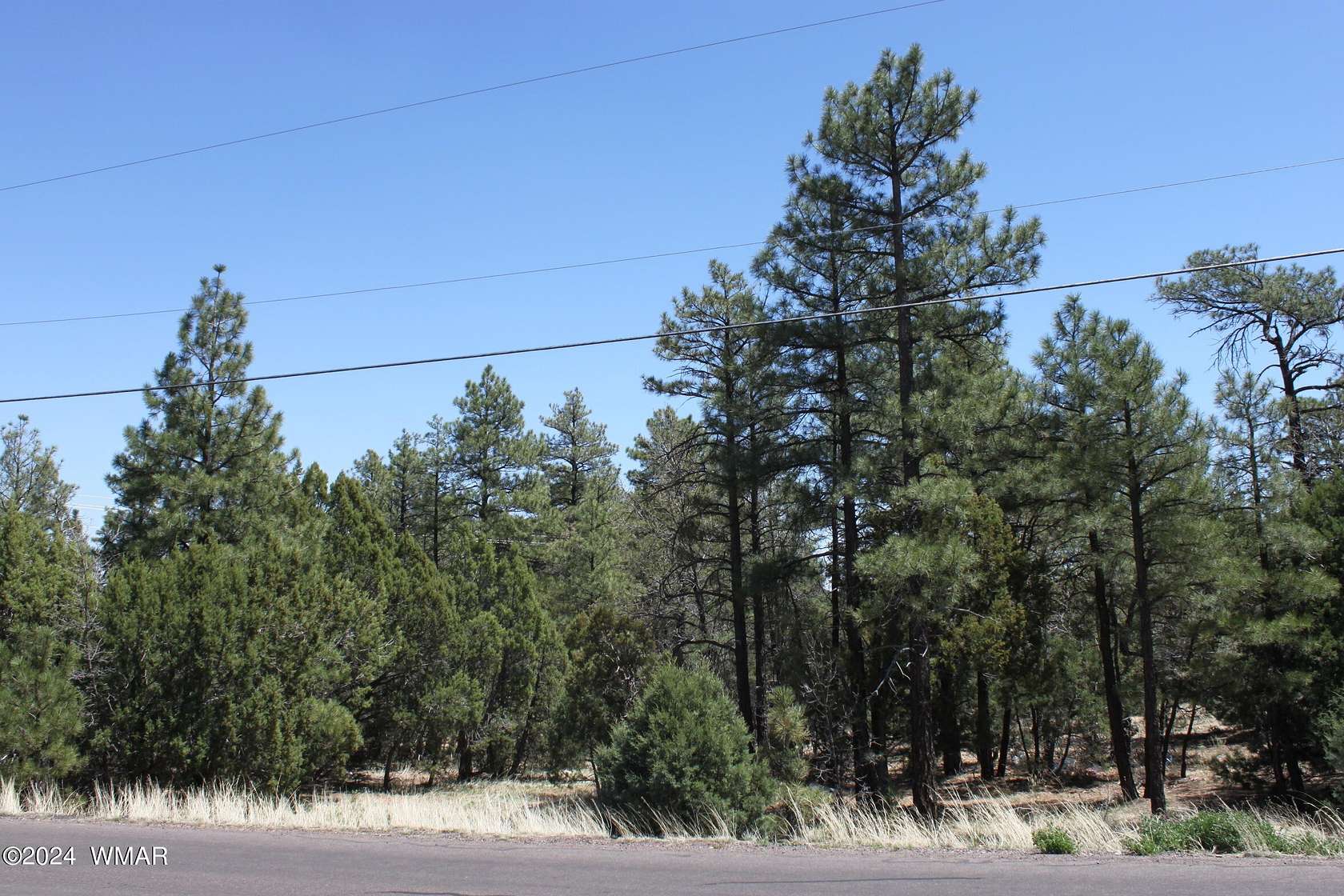 18.2 Acres of Land for Sale in Show Low, Arizona