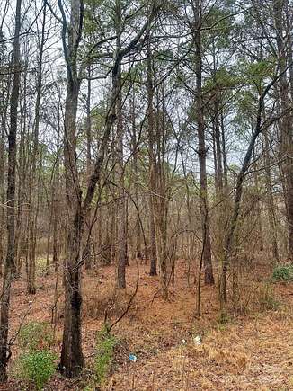 2.92 Acres of Residential Land with Home for Sale in Chester, South Carolina