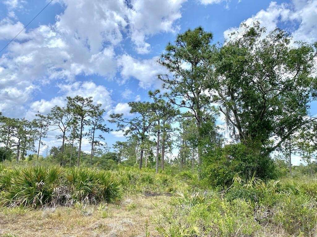 0.69 Acres of Land for Sale in Okeechobee, Florida
