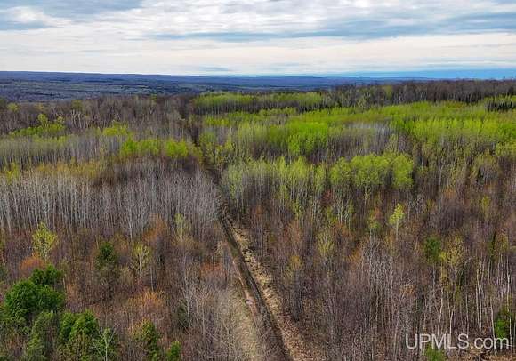 38.6 Acres of Recreational Land & Farm for Sale in L'Anse, Michigan