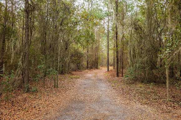 145 Acres of Recreational Land for Sale in Lakeland, Georgia