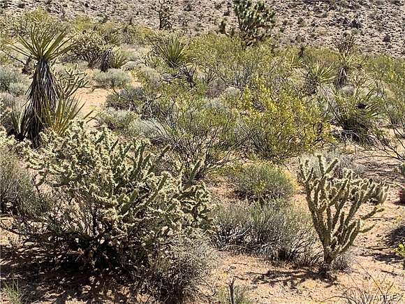1 Acre of Residential Land for Sale in Dolan Springs, Arizona