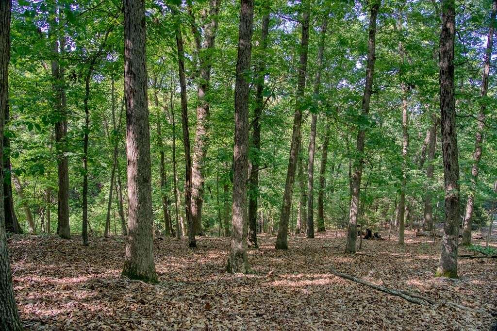 1.3 Acres of Land for Sale in Eureka Springs, Arkansas
