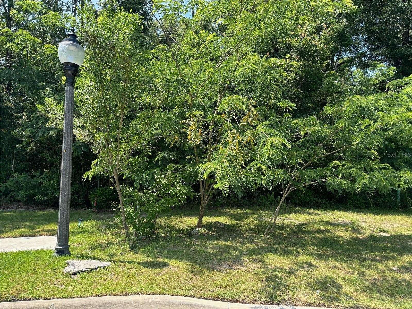 0.24 Acres of Residential Land for Sale in Gainesville, Florida