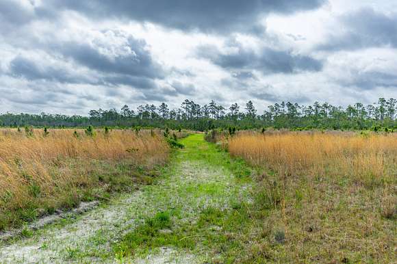 803 Acres of Recreational Land & Farm for Sale in Panama City, Florida