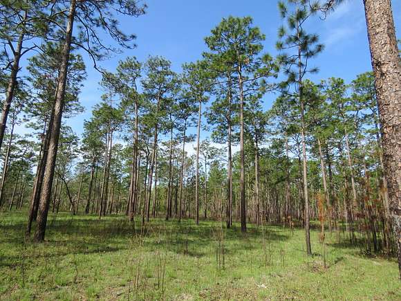937 Acres of Land for Sale in Pinetta, Florida