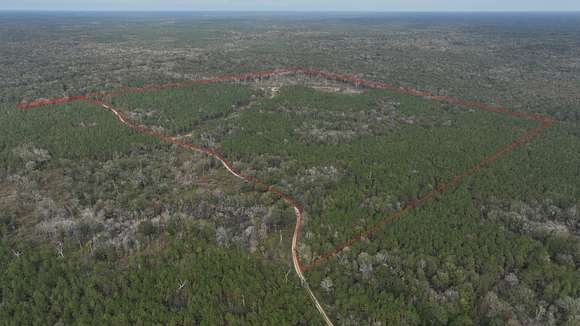 120 Acres of Recreational Land & Farm for Sale in Chiefland, Florida